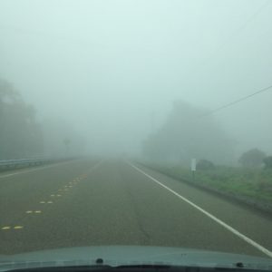 Lake-Sonoma-50-car-fog