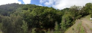 Lake-Sonoma-50-cloud-break